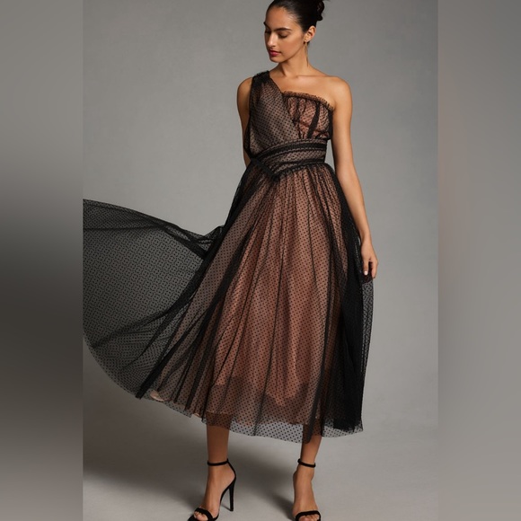 Anthropologie Dresses & Skirts - 🍁🍂 Anthropologie Tulle Dot Dress Sz 14